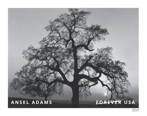 2024 Ansel Adams Stamps - Forever Stamps