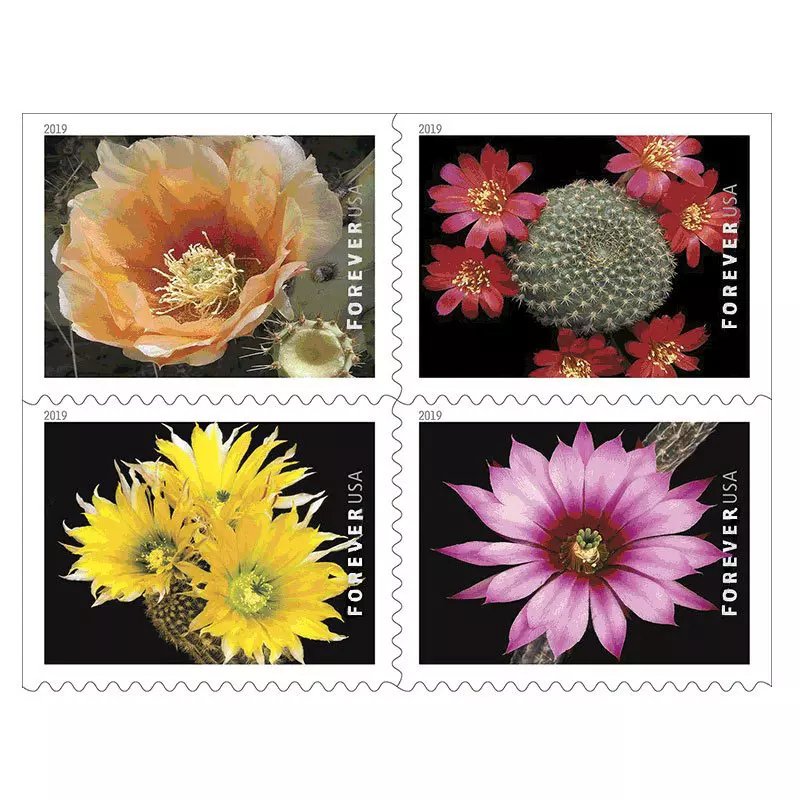 2019 Cactus Flowers Forever Stamps - Forever Stamps