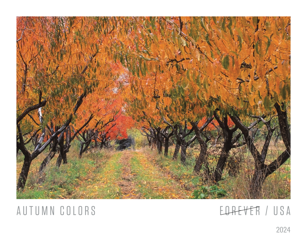 2024 Autumn Colors Stamps - Forever Stamps